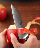 XINZUO 5-Inch Damascus VG10 Steel Utility Knife