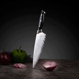 67-layer Damascus Steel Chef Knife