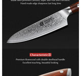 XINZUO 2PC Damascus Steel Professional Chef Knife
