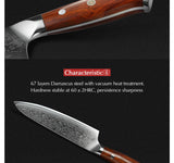 XINZUO 2PC Damascus Steel Professional Chef Knife