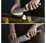 XINZUO 2PC Damascus Steel Professional Chef Knife