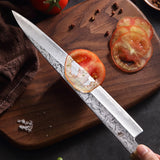 67 layers Damascus Japanese Sushi sashimi knife