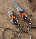 Stainless Steel Portable Mini Folding Knife