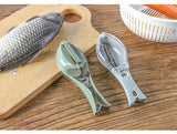 Fish Cleaning Scraping Scales With Knife Brush