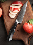 XINZUO 5-Inch Damascus VG10 Steel Utility Knife