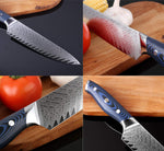 XITUO 8-inch Professional Damascus Chef’s Knife Japanese AUS10 Steel Full Tang Sashimi Kitchen Knife