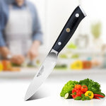 Japanese 6 Pcs 8 inch Kitchen Carbon Steel Chef Knife Set