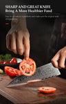 XINZUO Damascus Steel 2PCS Best Kitchen Chef Knives Set