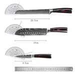 10 Pcs Kitchen Chef Knives set