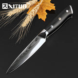 VG10 Damascus steel kitchen  Chef knife